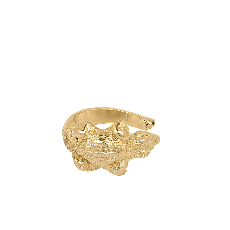 anillo abierto