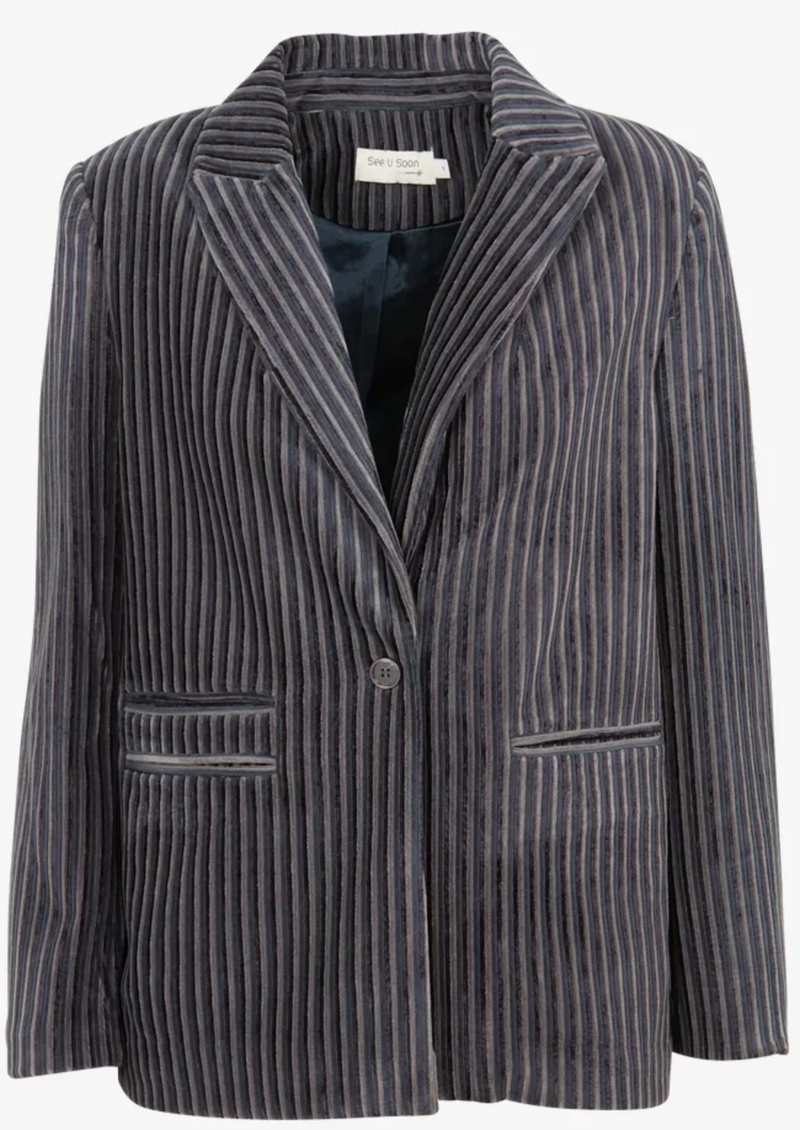 Blazer azul rayas terciopelo
